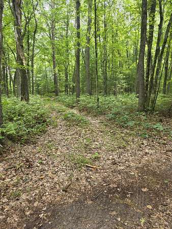 10.4 Acres of Recreational Land for Sale in White Cloud, Michigan