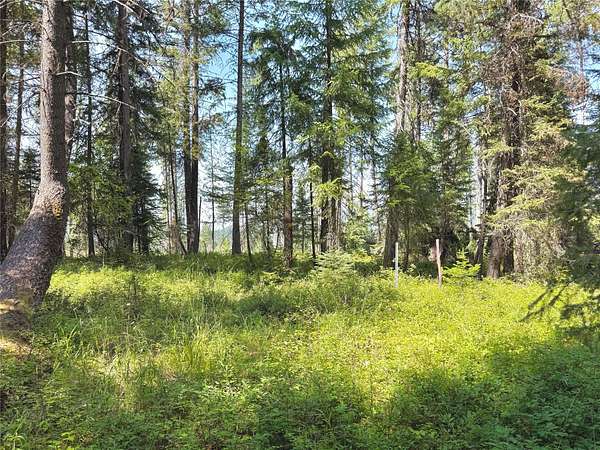 2.7 Acres of Residential Land for Sale in Martin City, Montana