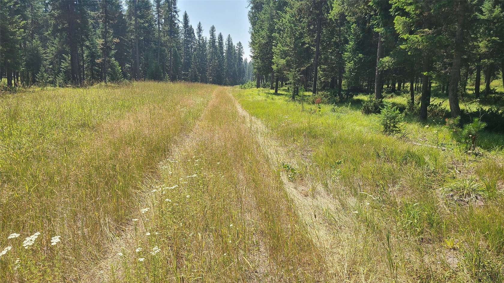 40 Acres of Land for Sale in Whitefish, Montana