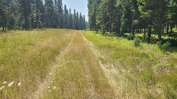 40 Acres of Land for Sale in Whitefish, Montana