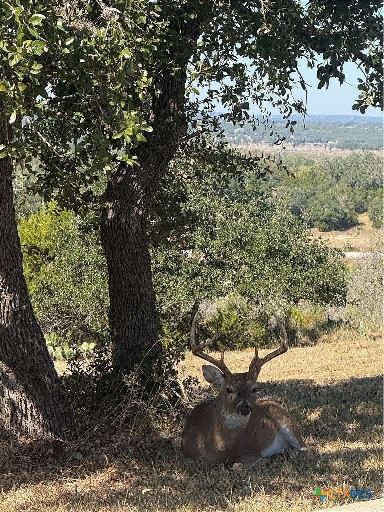 1.3 Acres of Residential Land for Sale in Canyon Lake, Texas
