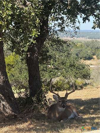 1.3 Acres of Residential Land for Sale in Canyon Lake, Texas