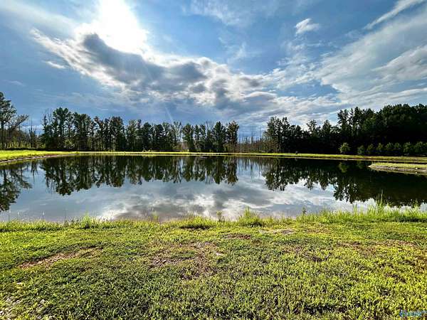 47.4 Acres of Recreational & Residential Land for Sale in Elkmont, Alabama