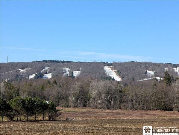 10 Acres of Recreational & Residential Land for Sale in Clymer, New York