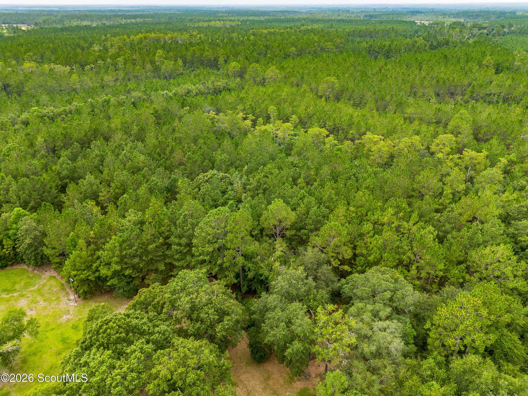 5.58 Acres of Residential Land for Sale in Waycross, Georgia