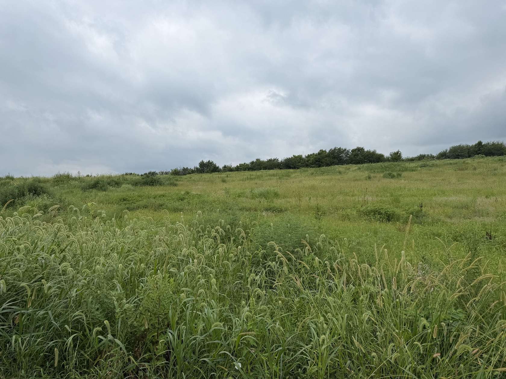 13 Acres of Improved Land for Sale in Pattonsburg, Missouri