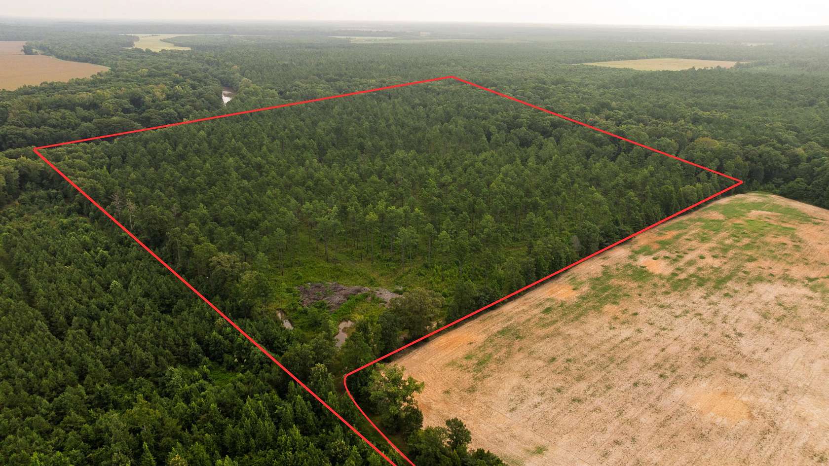 41 Acres of Land for Sale in Bastrop, Louisiana