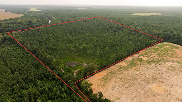 41 Acres of Land for Sale in Bastrop, Louisiana