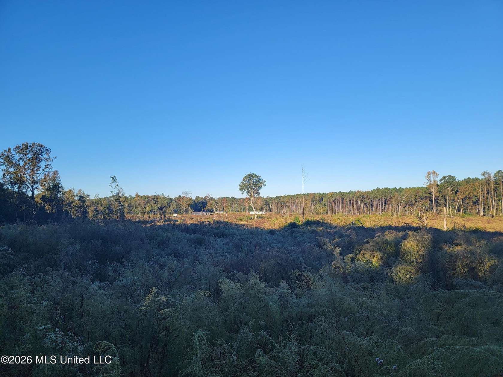 3 Acres of Land for Sale in Forest, Mississippi