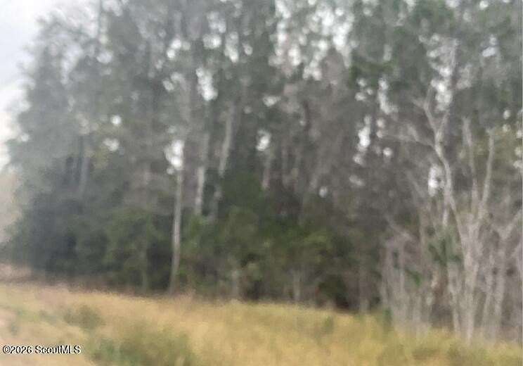 6 Acres of Land for Sale in Jesup, Georgia