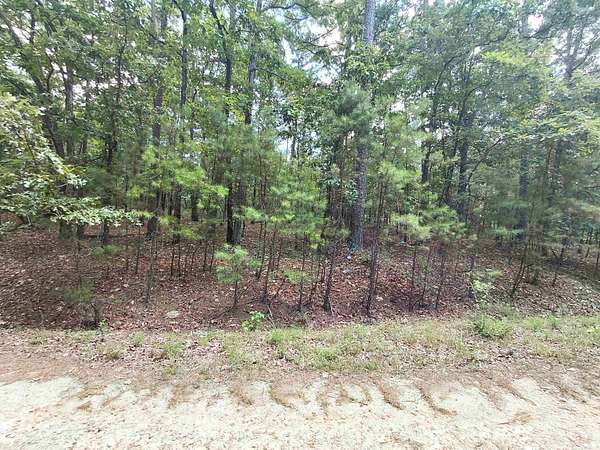 0.24 Acres of Residential Land for Sale in Hot Springs Village, Arkansas