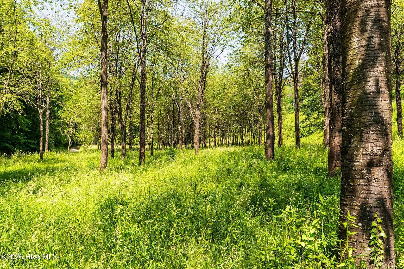 2.35 Acres of Residential Land for Sale in Dearing, Georgia