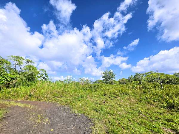 47.8 Acres of Land for Sale in Pahoa, Hawaii