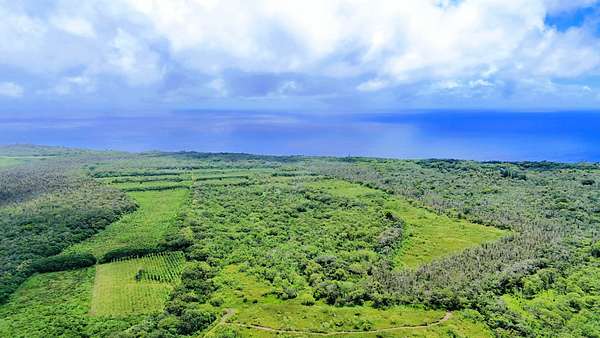 47.8 Acres of Land for Sale in Pahoa, Hawaii