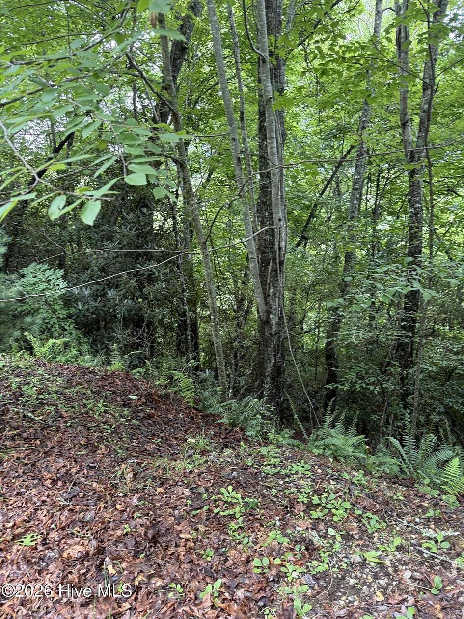 1 Acre of Residential Land for Sale in Topton, North Carolina