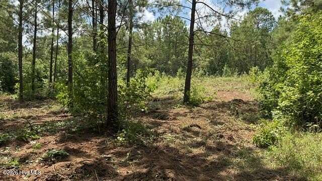 6 Acres of Residential Land for Sale in Appling, Georgia