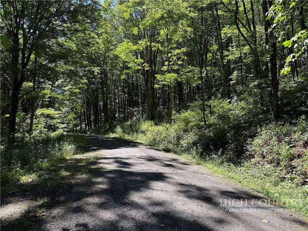 10 Acres of Residential Land for Sale in Todd, North Carolina