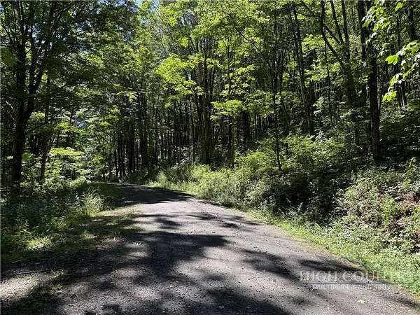 10 Acres of Residential Land for Sale in Todd, North Carolina