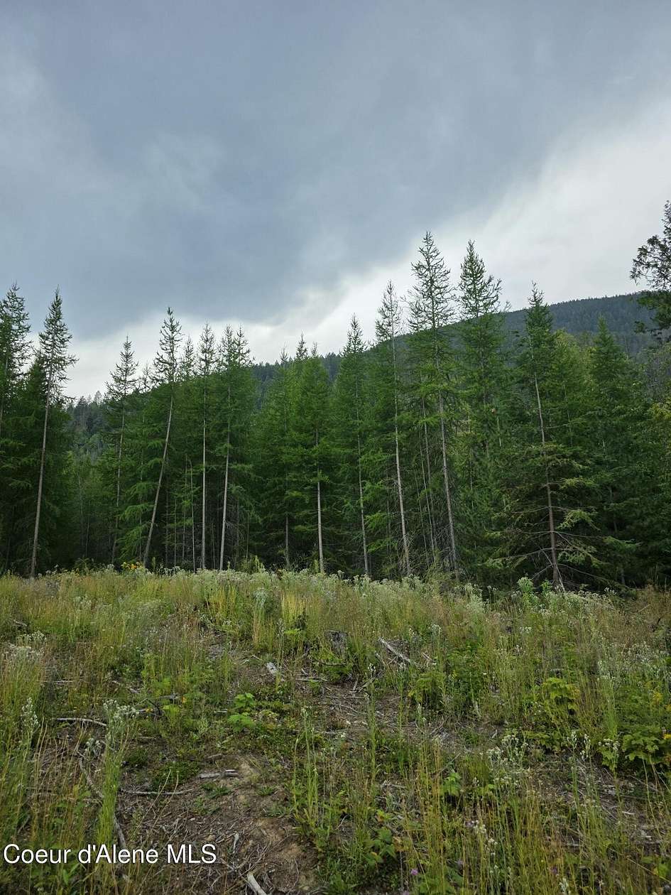 10 Acres of Recreational & Residential Land for Sale in Bonners Ferry, Idaho
