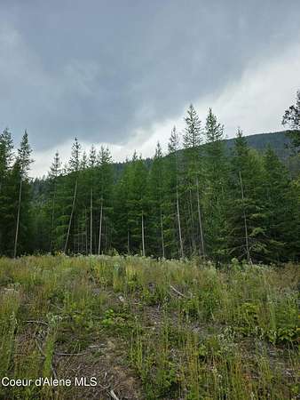 10 Acres of Recreational & Residential Land for Sale in Bonners Ferry, Idaho