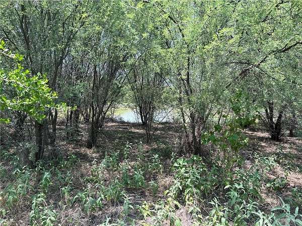 84 Acres of Recreational Land for Sale in Zapata, Texas