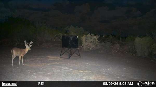 84 Acres of Recreational Land for Sale in Zapata, Texas