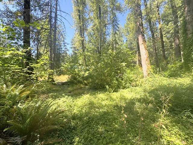 0.17 Acres of Residential Land for Sale in Rhododendron, Oregon