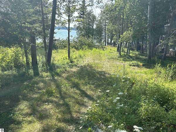 0.35 Acres of Land for Sale in Central Lake, Michigan
