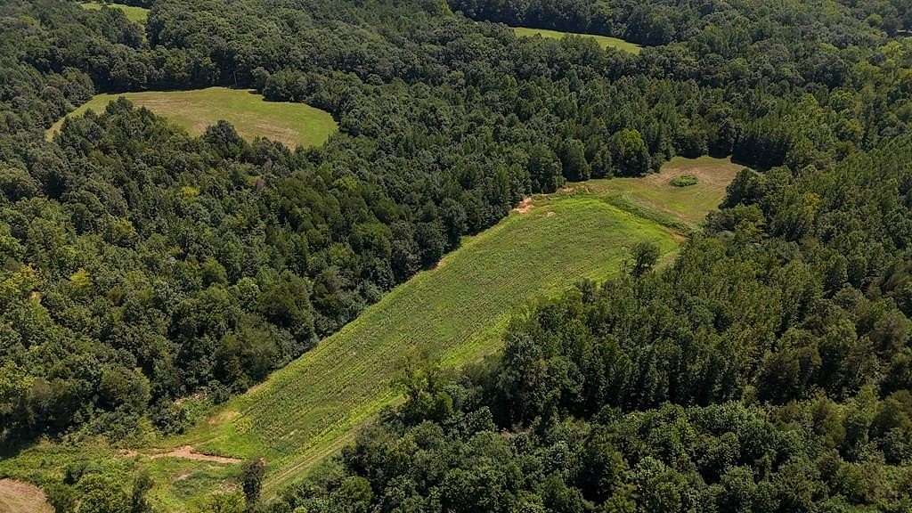 50.1 Acres of Recreational Land for Sale in Paris, Tennessee