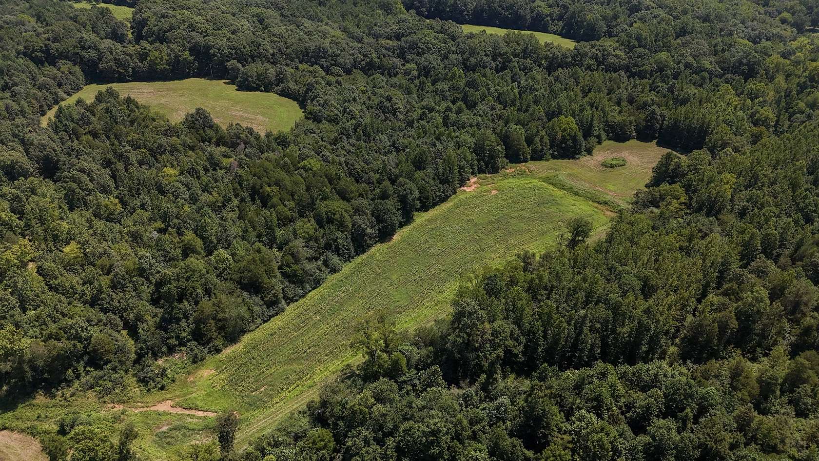 50.1 Acres of Land for Sale in Paris, Tennessee