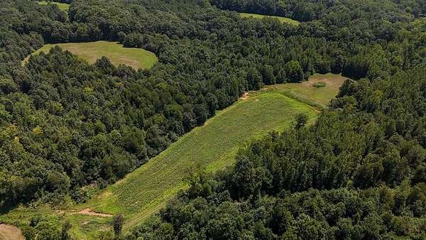 50.1 Acres of Recreational Land for Sale in Paris, Tennessee