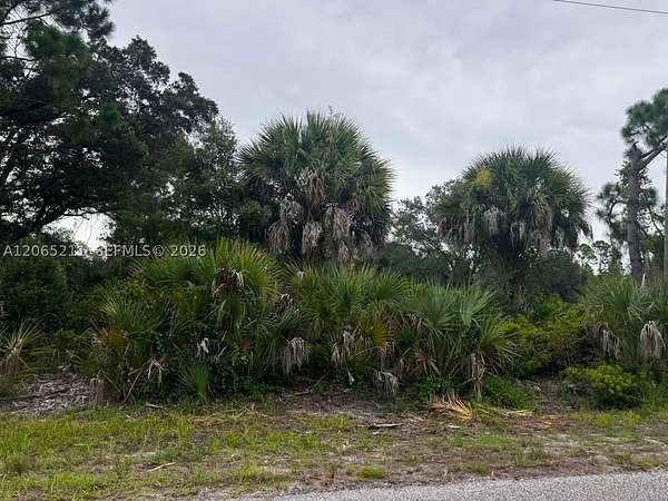 0.23 Acres of Residential Land for Sale in Port Charlotte, Florida