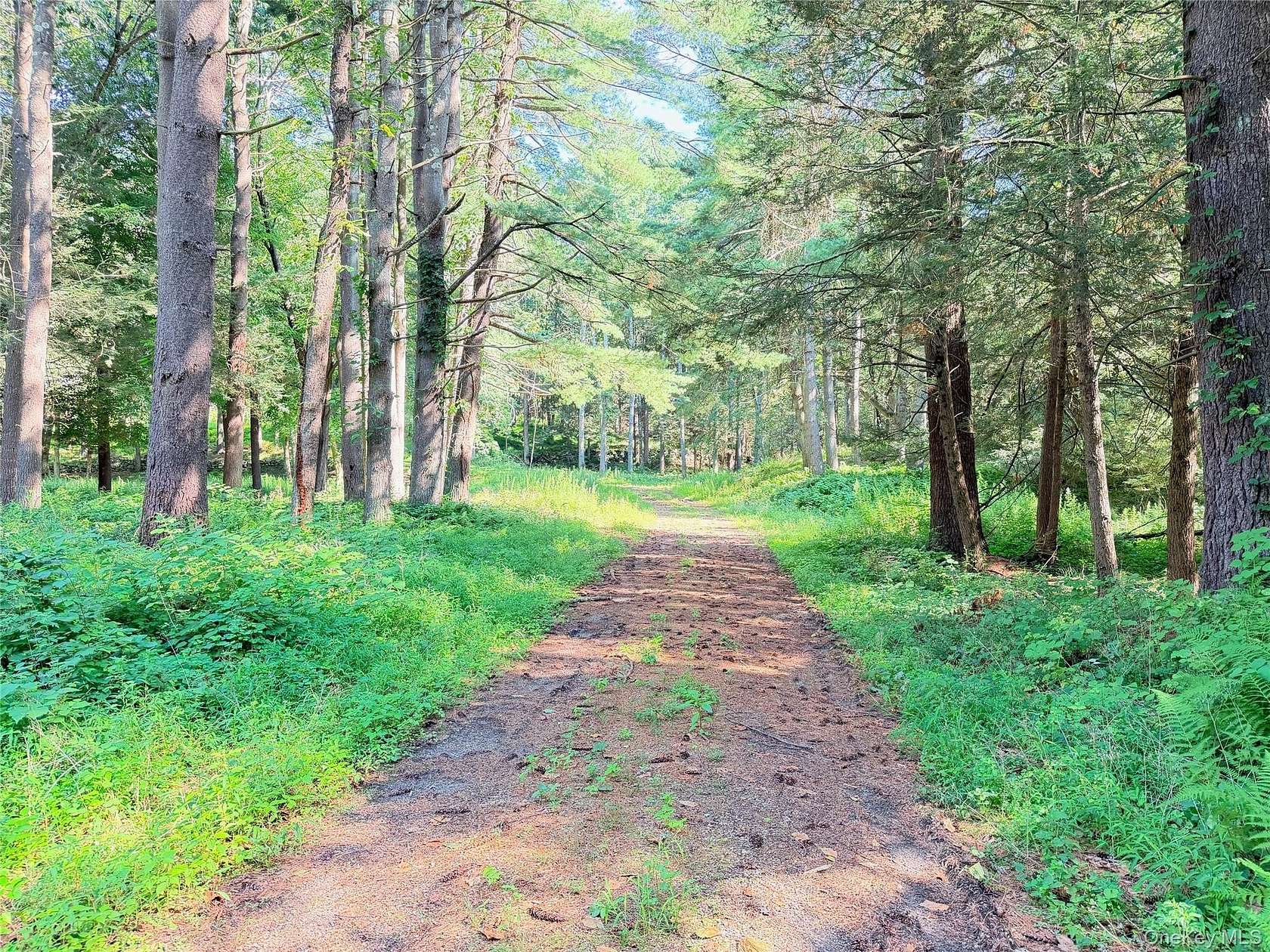 38.4 Acres of Recreational & Residential Land for Sale in Bedford Hills, New York