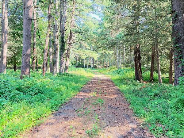 38.4 Acres of Recreational & Residential Land for Sale in Bedford Hills, New York