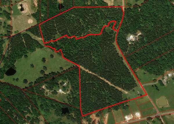 52.7 Acres of Recreational & Residential Land for Sale in Pollok, Texas