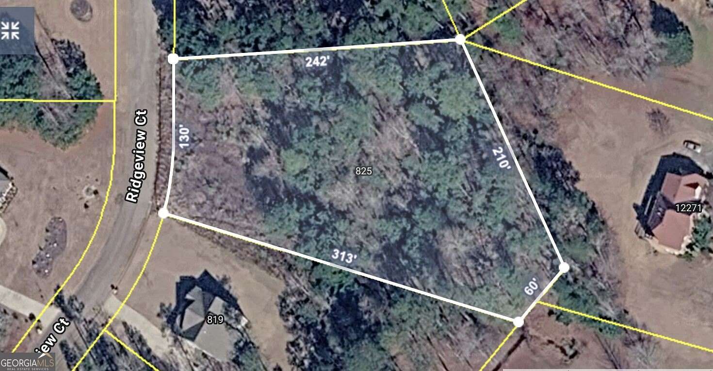 1.25 Acres of Residential Land for Sale in Hampton, Georgia