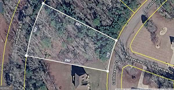 1 Acre of Residential Land for Sale in Hampton, Georgia
