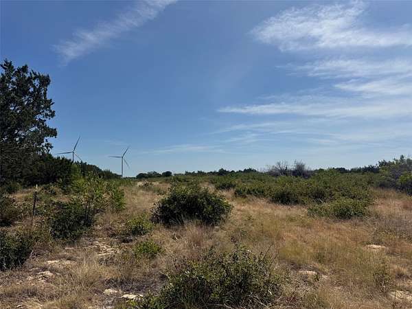 19.2 Acres of Recreational & Residential Land for Sale in Desdemona, Texas