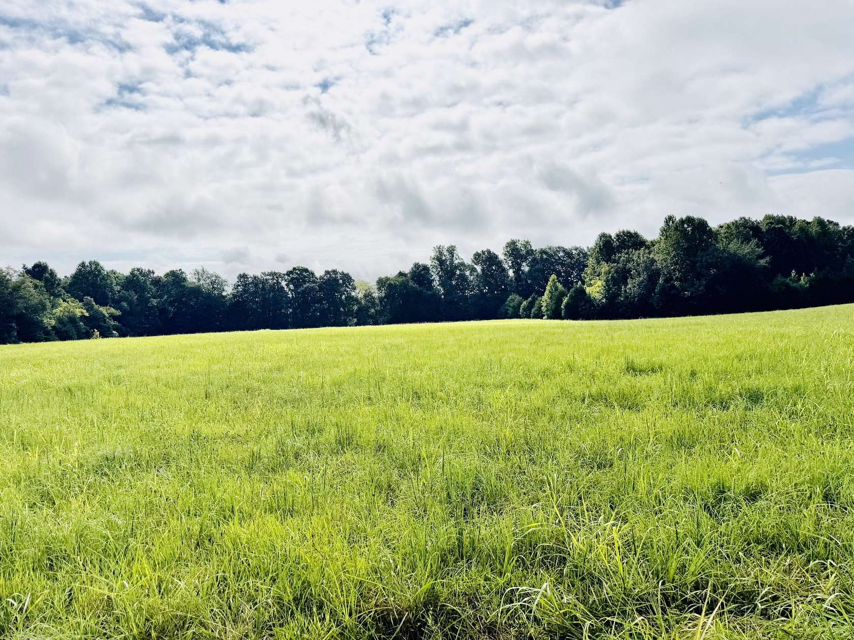 28.5 Acres of Land for Sale in Kelso, Tennessee