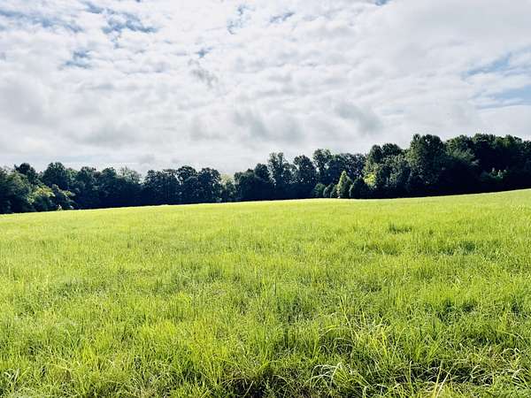 28.5 Acres of Land for Sale in Kelso, Tennessee