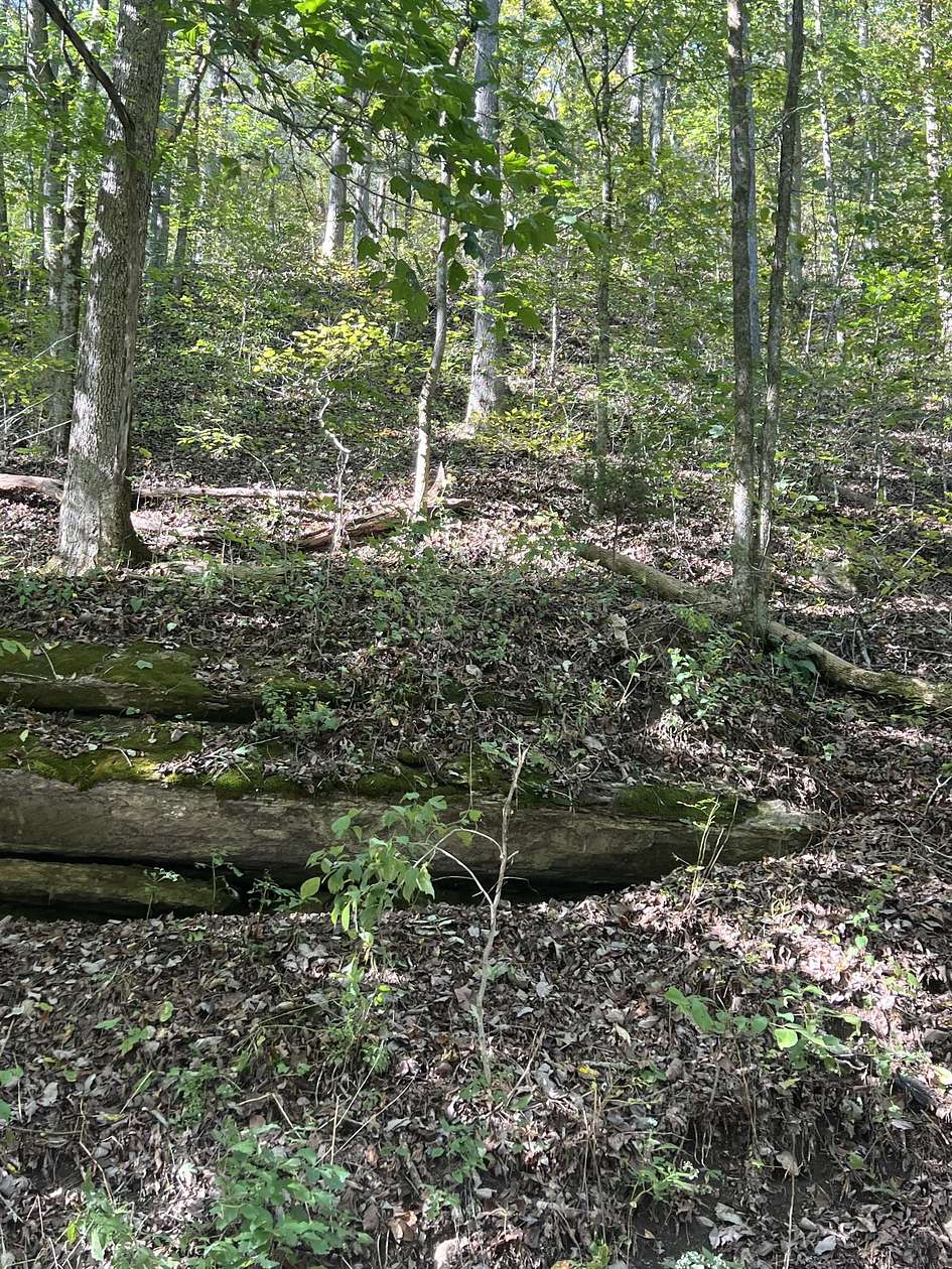 53.5 Acres of Agricultural Land for Sale in Celina, Tennessee