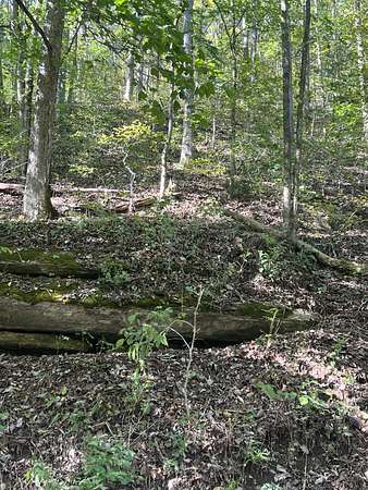 53.5 Acres of Agricultural Land for Sale in Celina, Tennessee