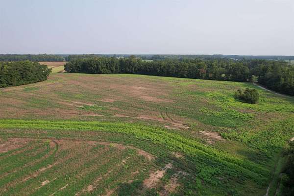 85 Acres of Recreational Land for Sale in Johnsonville, South Carolina