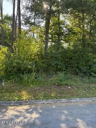 0.54 Acres of Residential Land for Sale in Knoxville, Tennessee