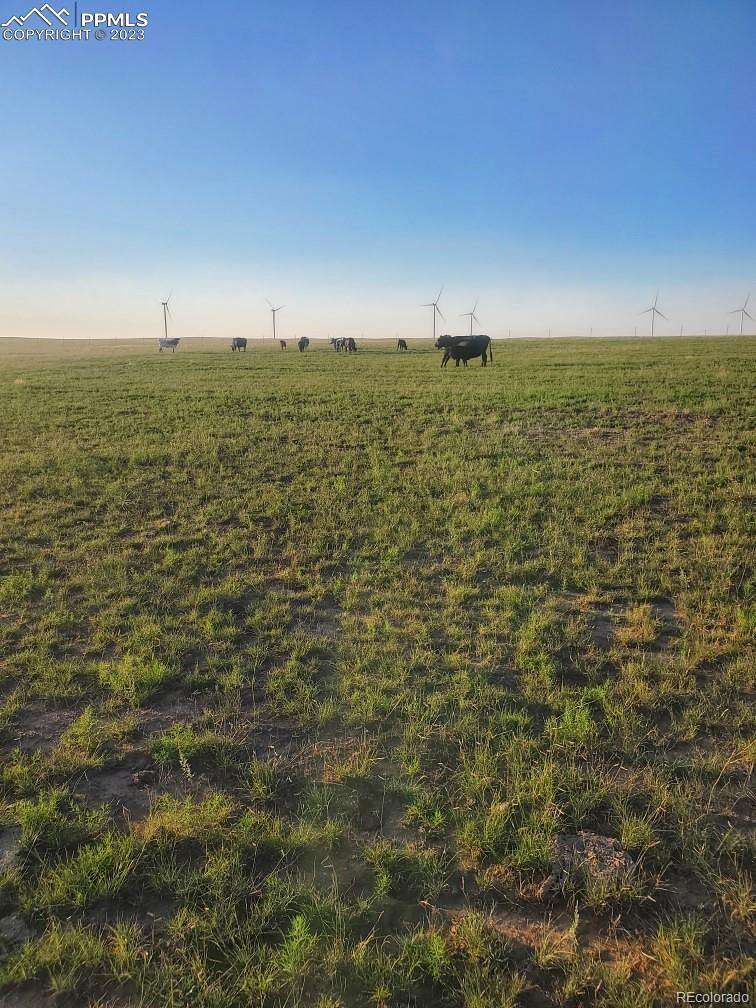 98.9 Acres of Land for Sale in Matheson, Colorado