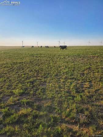 98.9 Acres of Land for Sale in Matheson, Colorado