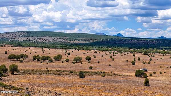 10 Acres of Recreational & Residential Land for Sale in Ash Fork, Arizona
