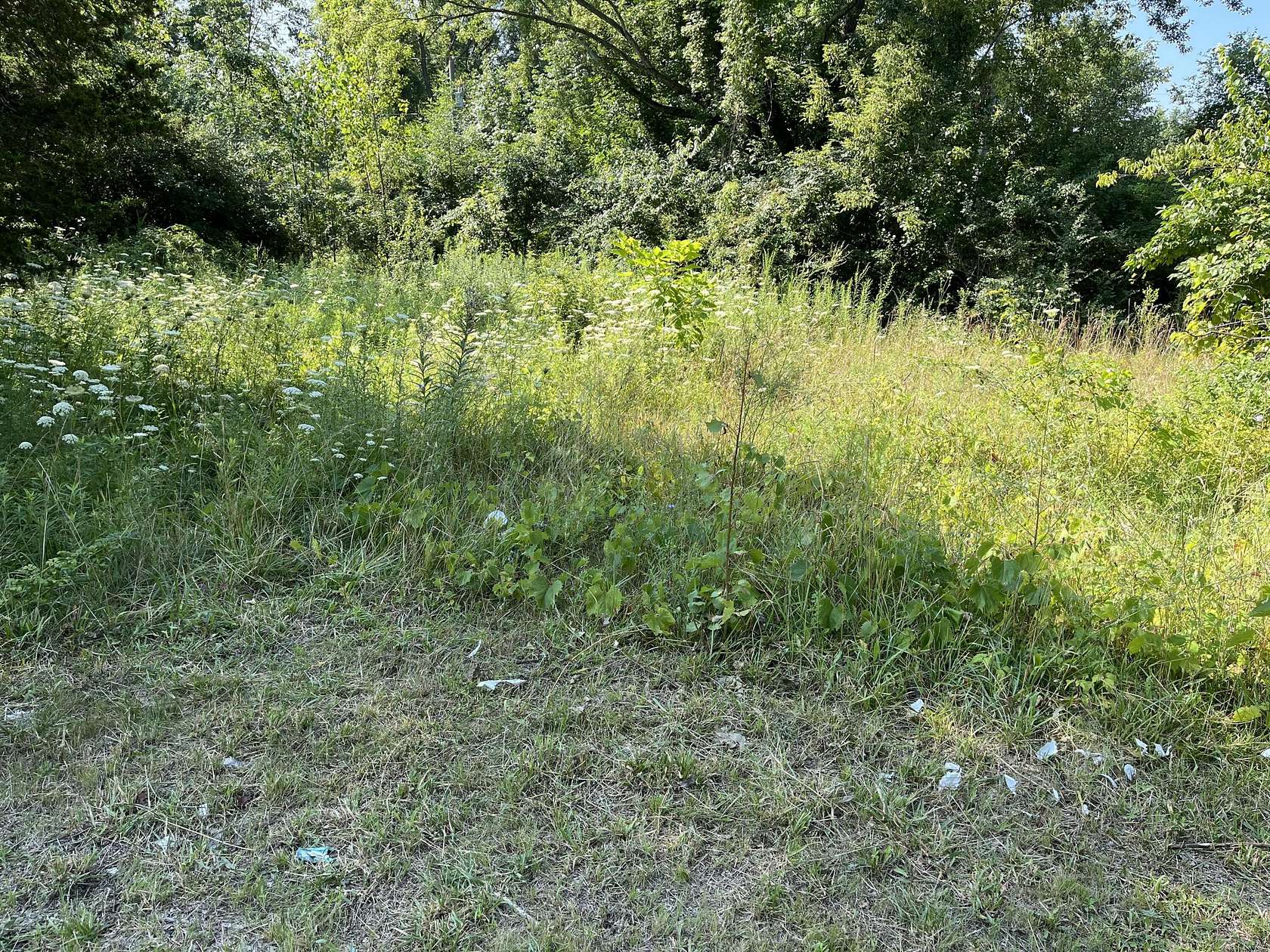 0.15 Acres of Mixed-Use Land for Sale in Benton Harbor, Michigan