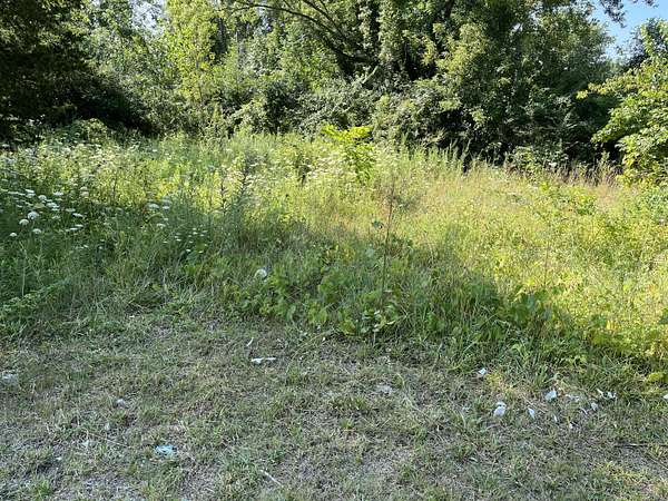 0.15 Acres of Mixed-Use Land for Sale in Benton Harbor, Michigan