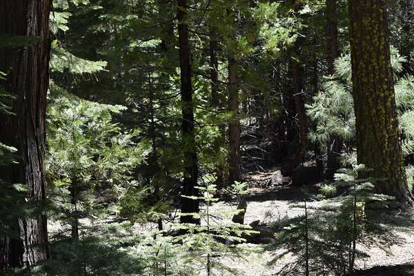 0.91 Acres of Residential Land for Sale in Alturas, California